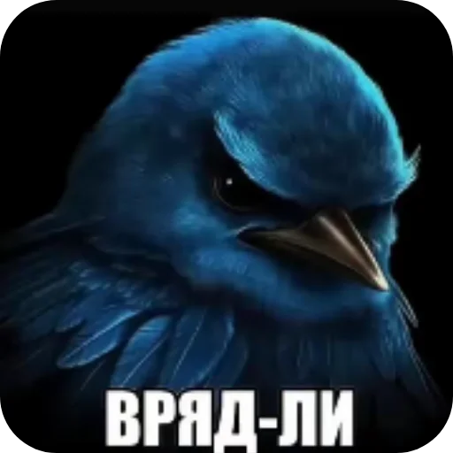 Стикер Birds Memes