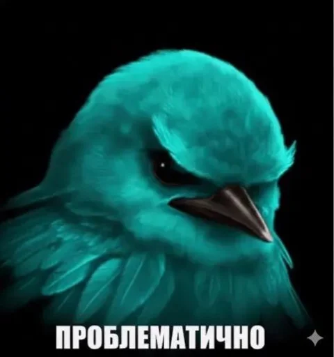 Стикер Birds Memes