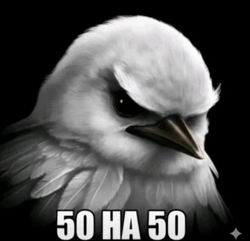 Стикер Birds Memes