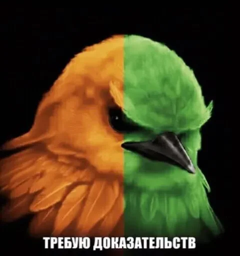 Стикер Birds Memes