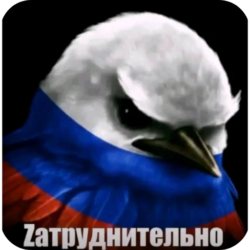 Стикер птицы