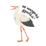 Стикер ptushki