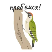 Набор стикеров