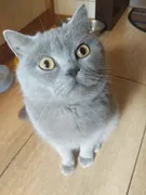 Стикер Пучечка