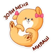 Набор стикеров