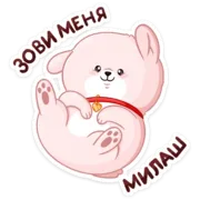 Набор стикеров