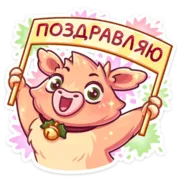 Набор стикеров