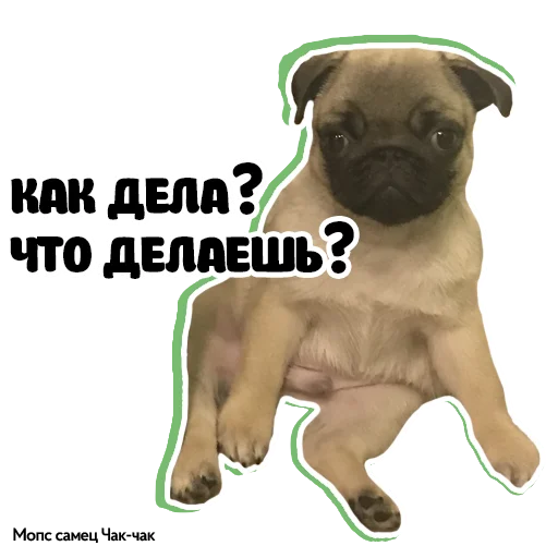 Набор стикеров