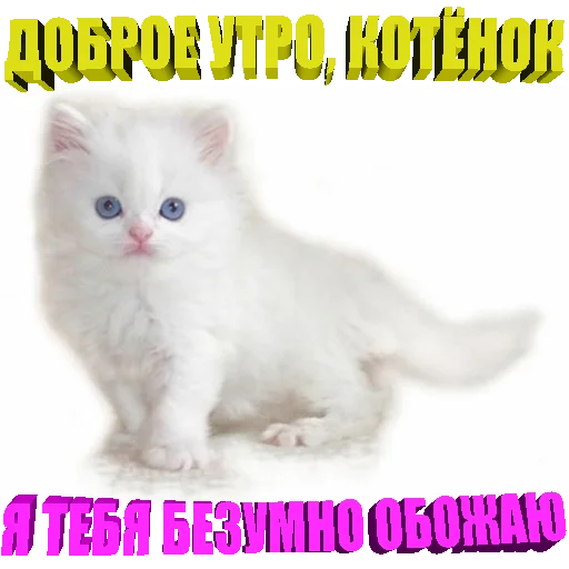 Набор стикеров