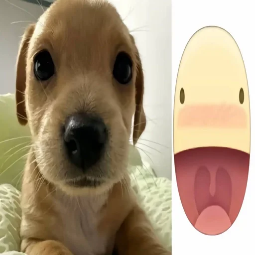 Стикер собачка милая