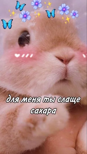 Стикер 🐰RABBITS🐰
