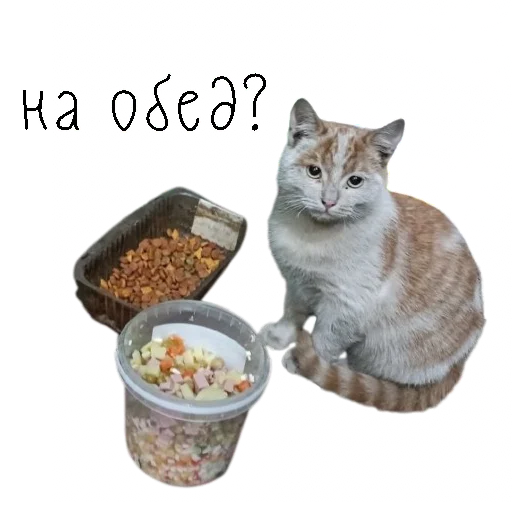 Стикер коты ишачат на заводе