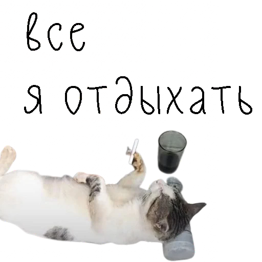 Набор стикеров