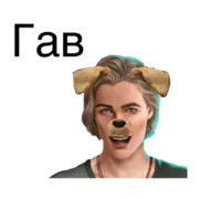 Набор стикеров