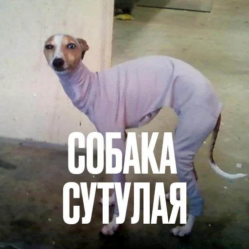 Стикер Креативно ругаем студентов