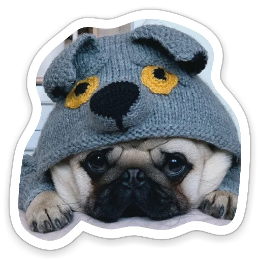 Стикер sad_pug_leonid
