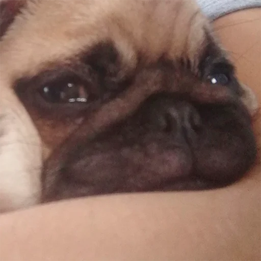 Стикер Murder 🔪