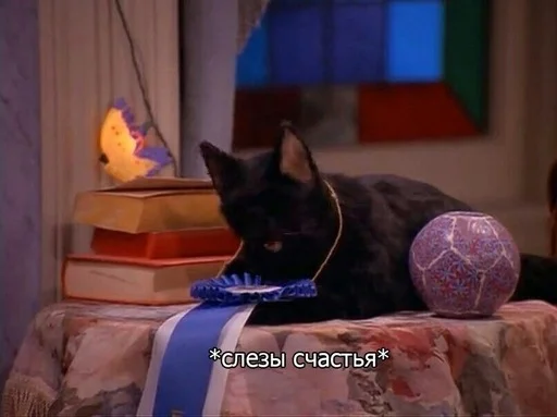 Стикер SALEM MEOW