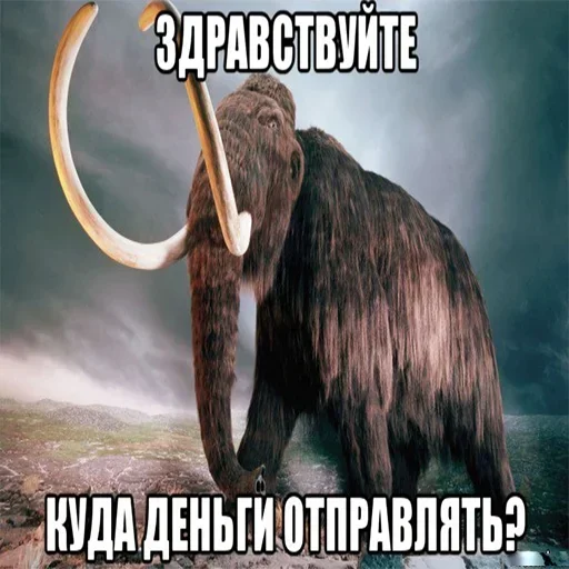 Стикер Мамонты
