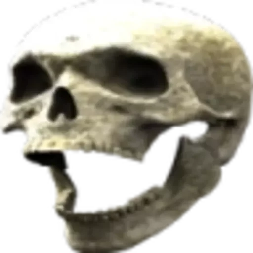 Стикер Skulls