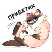 Набор стикеров