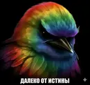 Стикер Birds Memes