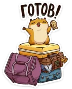 Набор стикеров