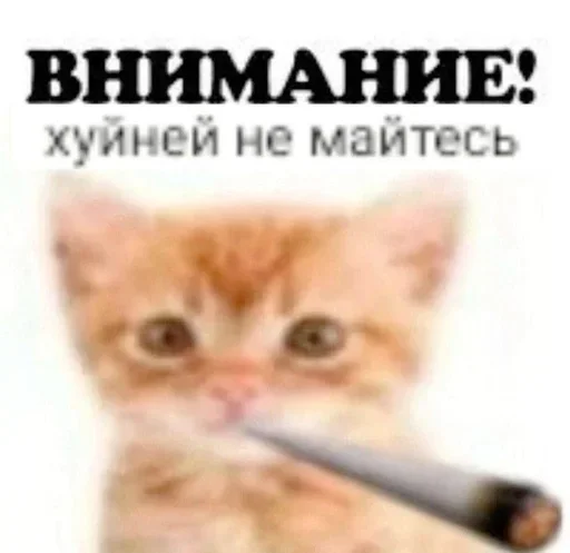 Стикер Больше стиков тут: