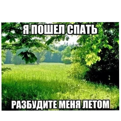 Стикер Лесные летние мемы