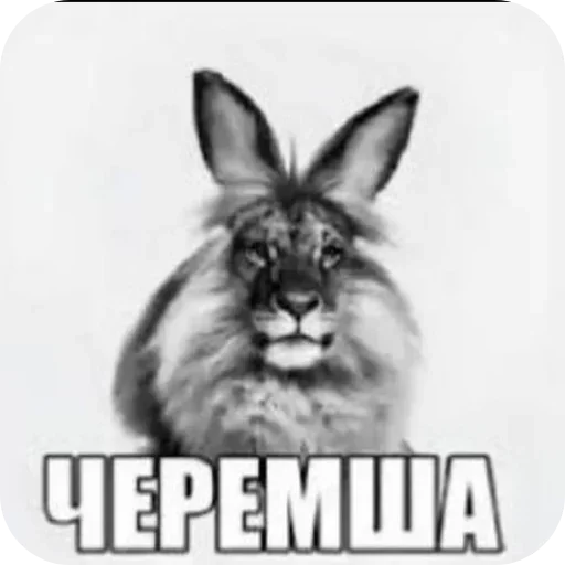 Стикер ÐÐ¾Ð»ÑÑÐµ ÑÑÐ¸ÐºÐ¾Ð² ÑÑÑ: