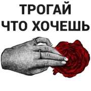 Стикер Секс Гид