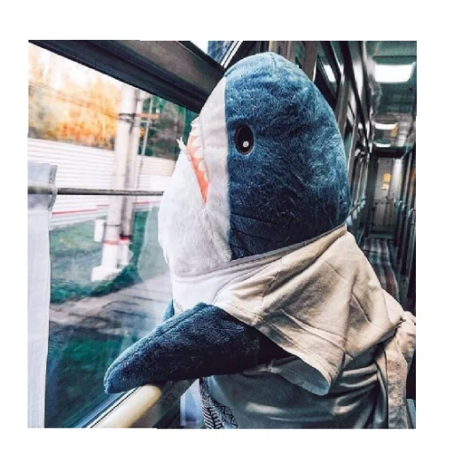 Стикер shark