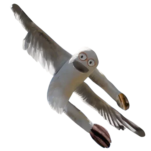 Стикер Riffraff