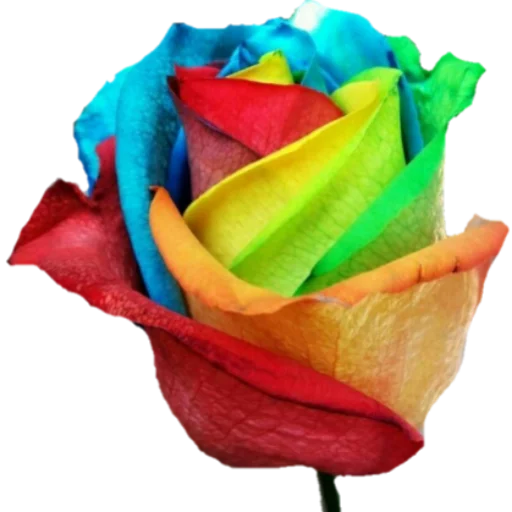 Стикер فواصل ويزيدنا القرآن خشوعا2