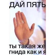 Набор стикеров