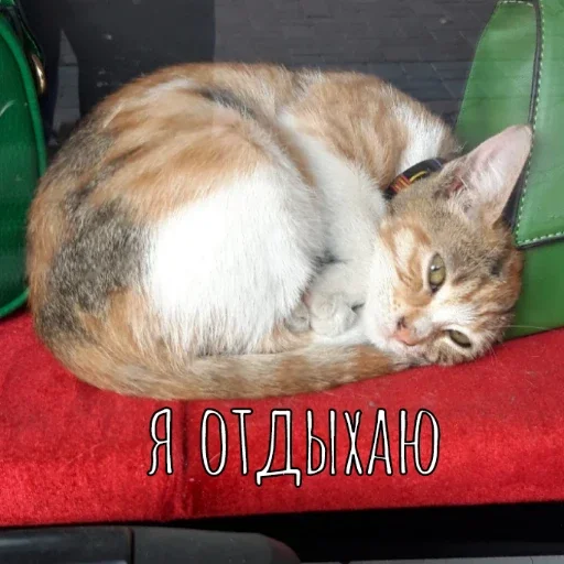 Стикер С новым годом!