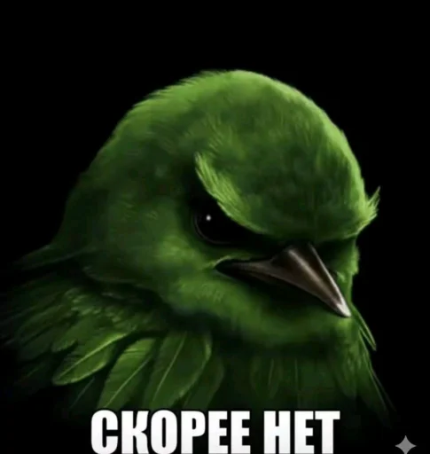 Стикер Birds Memes