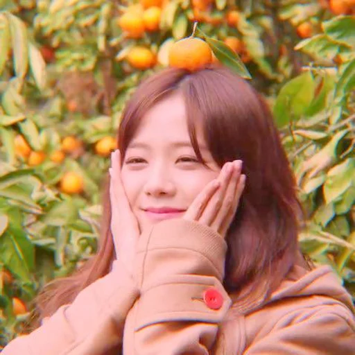 Стикер jisoo kim