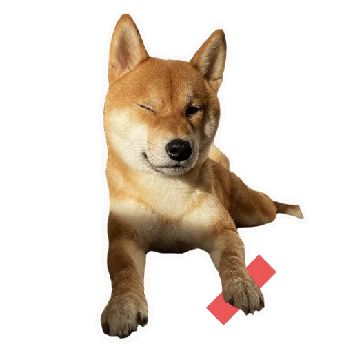Стикер stickers