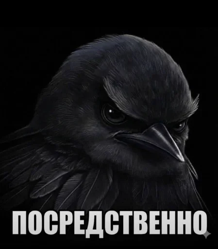 Стикер Birds Memes