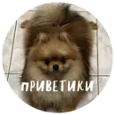 Стикер БОНЯ