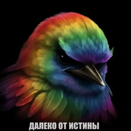 Стикер Birds Memes
