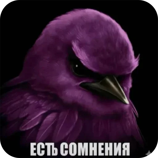 Стикер Birds Memes
