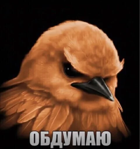 Стикер Birds Memes