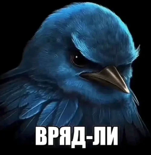 Стикер Birds Memes