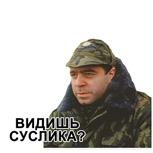 Стикер Cуслика видишь