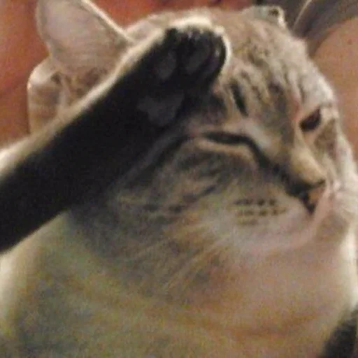 Стикер СВП пак от Амона