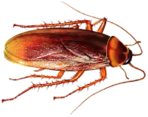 Стикер Ants