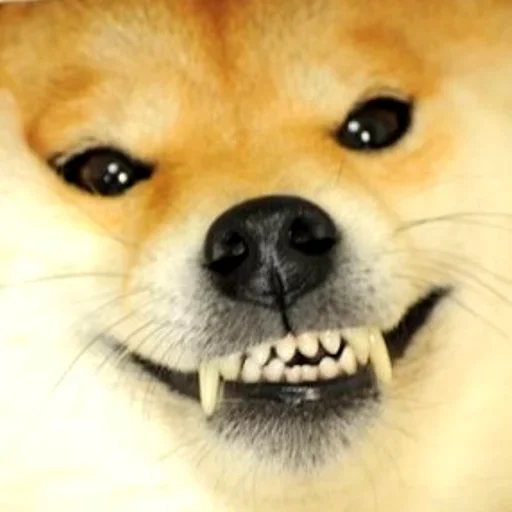 Стикер Тефтельный Деградач