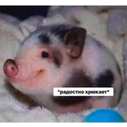 Стикер Это конец